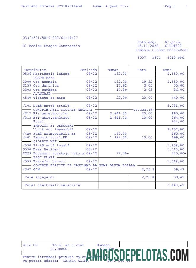 Kaufland Romênia SCS contracheque exemplo real
